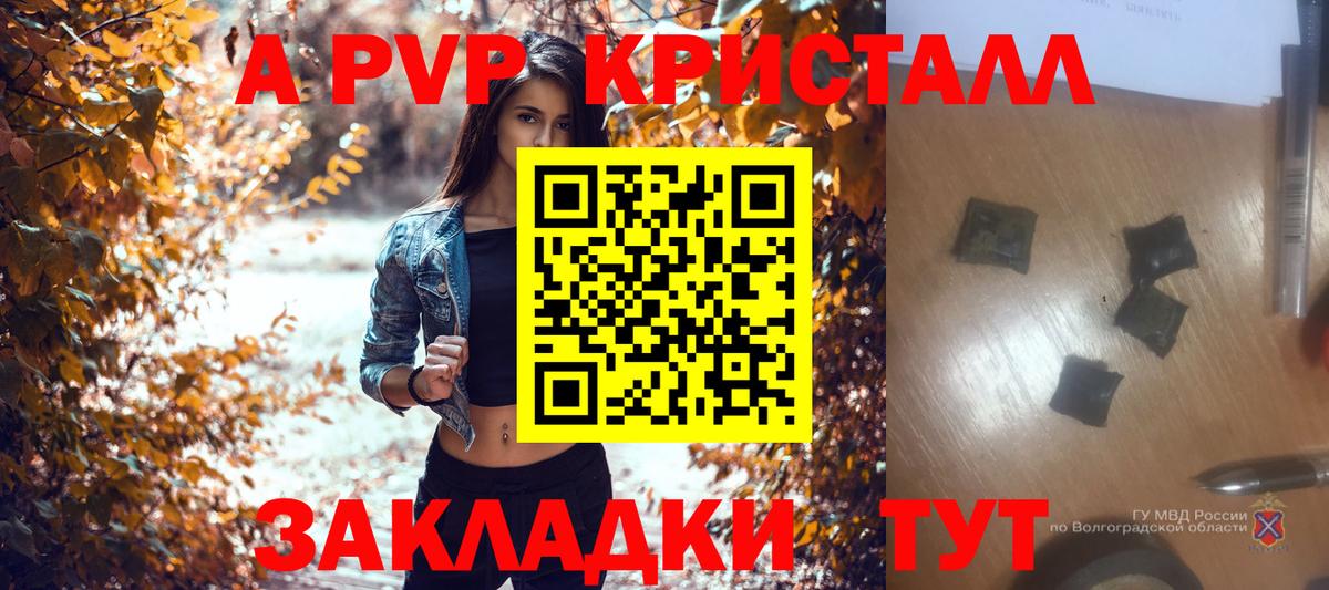 Alfa_PVP СК КРИС Балтийск