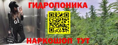 хмурый Гай