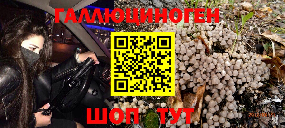 Галлюциногенные грибы MAGIC MUSHROOMS Балтийск